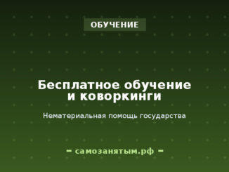 Бесплатное обучение и коворкинги: нематериальная помощь государства