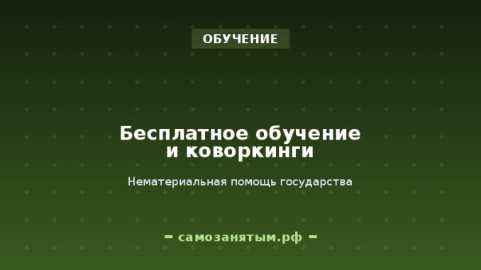 Бесплатное обучение и коворкинги: нематериальная помощь государства