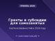Гранты и субсидии для самозанятых в 2026: карта возможностей