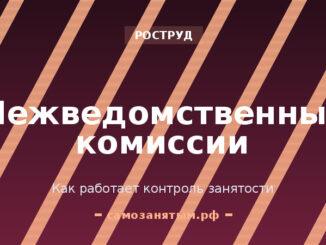 Межведомственные комиссии по нелегальной занятости: как они работают